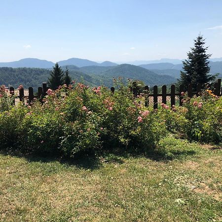 Casa Rural Mollo, Vall De Camprodon Екстериор снимка