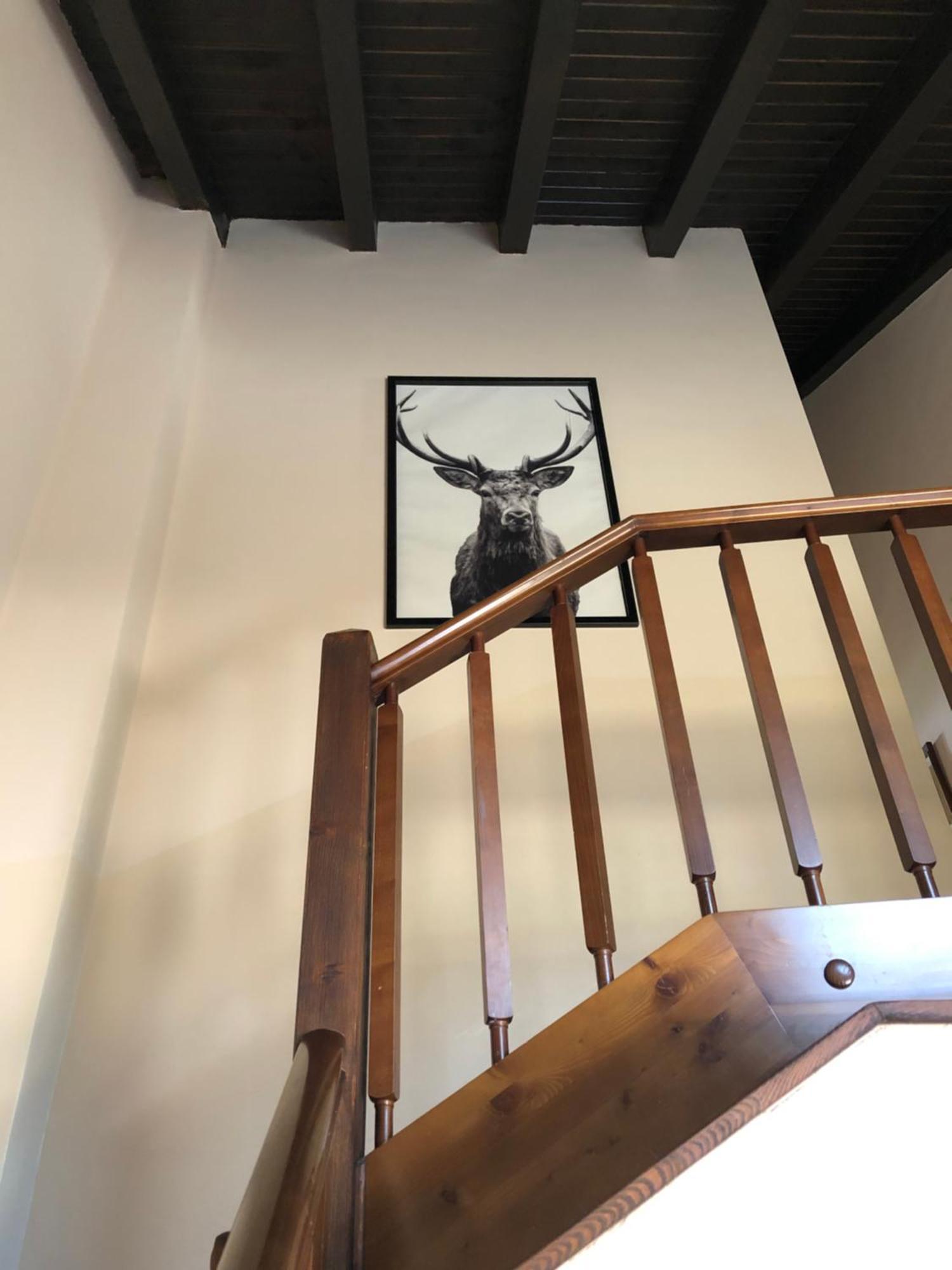 Casa Rural Mollo, Vall De Camprodon Екстериор снимка