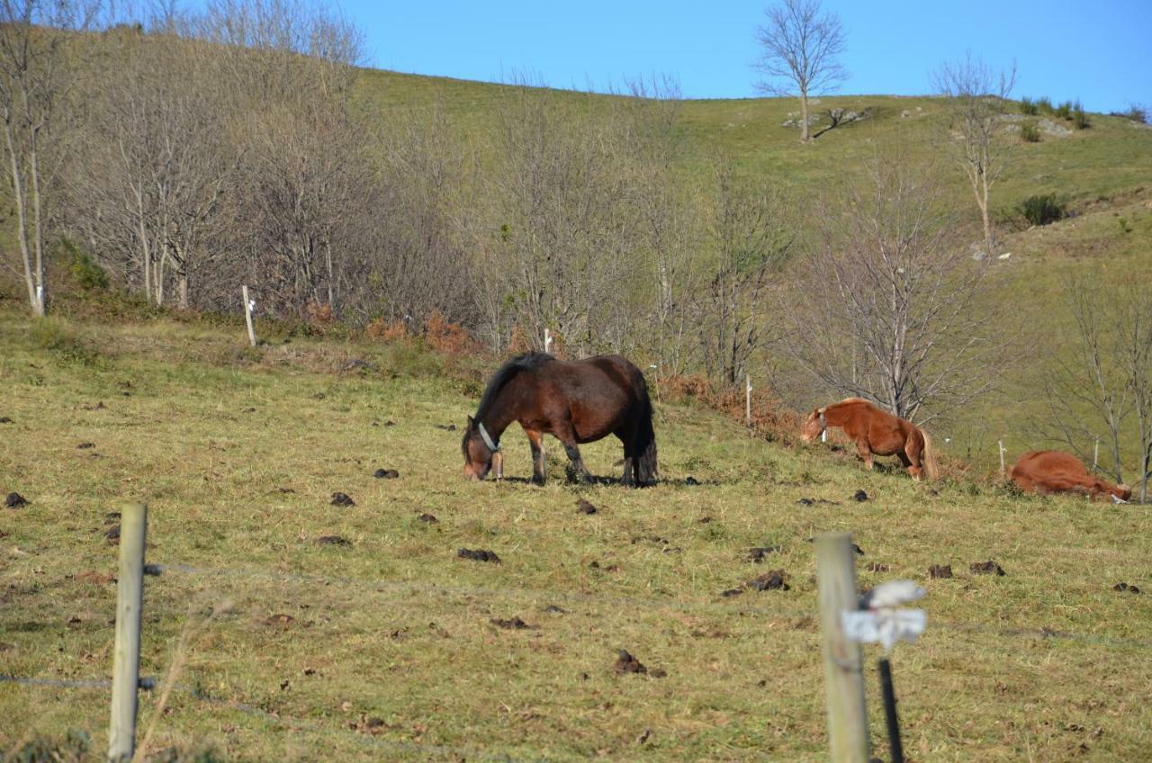 Casa Rural Mollo, Vall De Camprodon Екстериор снимка